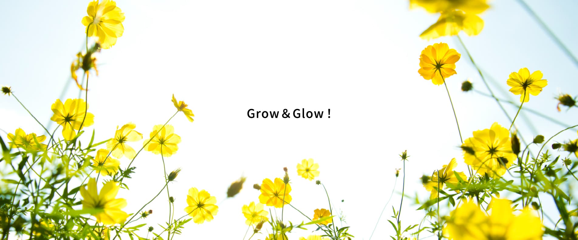 Grow & Glow!